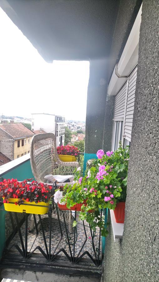 Appartamento Garden Belgrado Esterno foto